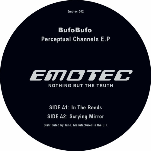 BufoBufo - Scrying Mirror (192 Clip) (EMOTEC 002)