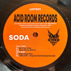 B1. Soda303 - Diga Diga Doo (VINYL)