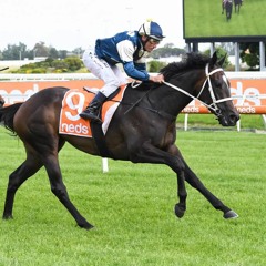 Coolmore Classic Day Punting Preview