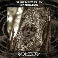 Spirit Minute Ep. 39 | HiberNation | 01/04/2021