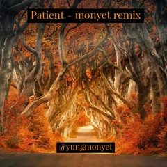 Post Malone - Patient Lofi ( monyet remix )