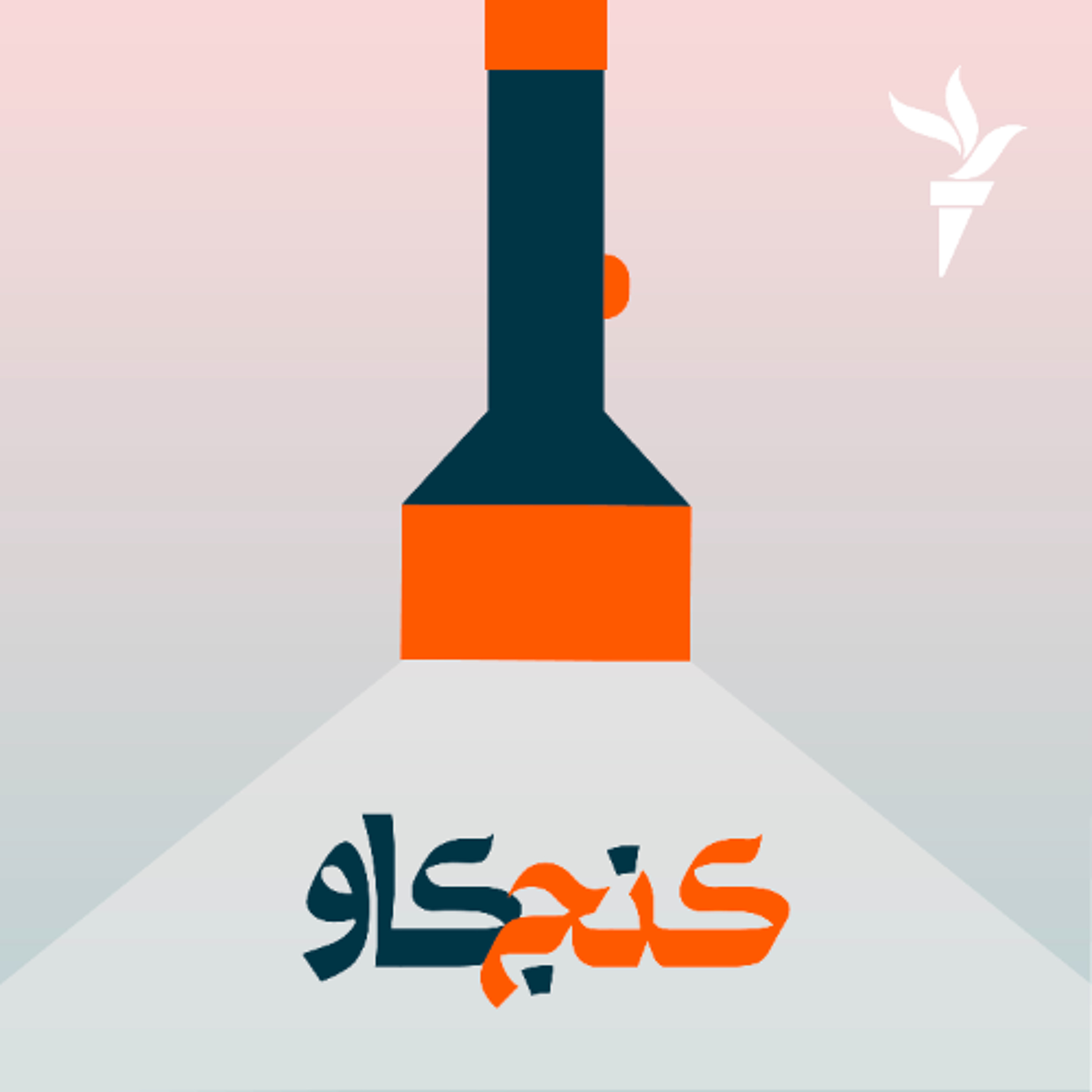 هفت هفتهٔ پرماجرا با دونالد ترامپ؛ حزب دموکرات کجاست؟