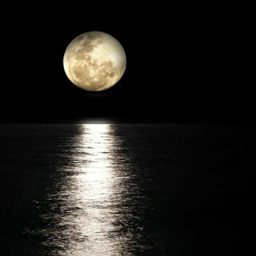 MoonDance (WavetablePushSession)