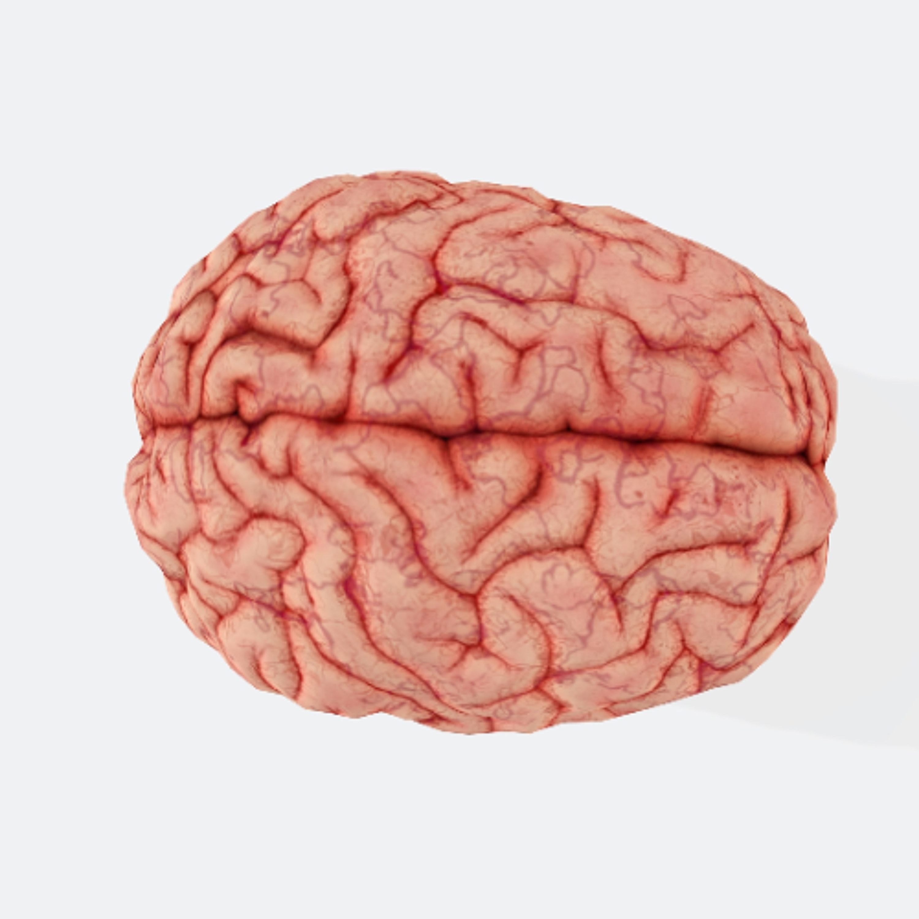 Use Your Brain, Human!