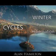 Winter (Part IV) Hibernation