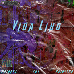 "VIDA LIXO" - BLACK MØNEY (Mainart, Crz & Chinegrx) [Áudio Oficial]
