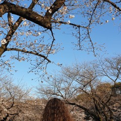 Morning Bright
