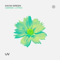 David Green Lypen (Extended Mix)