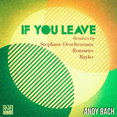 03. Andy Bach - If You Leave (Rayko remix)