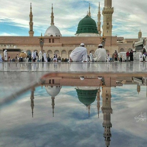 تدرون || ماهر زين