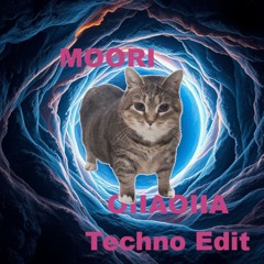 Oiiaoiia (Techno Edit)