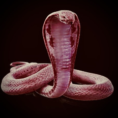 Le serpent qui danse