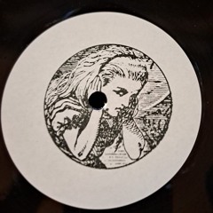 RobV - Storm (Out On Disturbo Vinyl Resistance Series)