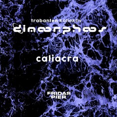 Club Recordings & Mixes