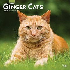 [READ] EPUB 🖌️ Ginger Cats | 2023 12 x 24 Inch Monthly Square Wall Calendar | BrownT