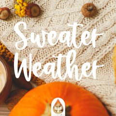 Sweater Weather 🧣🎃 - A Indie/Folk/Acoustic Playlist