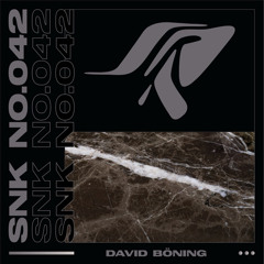SNK Rundfunk No. 042 - David Böning