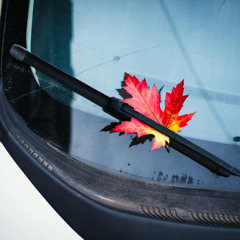 Elle est belle la vie