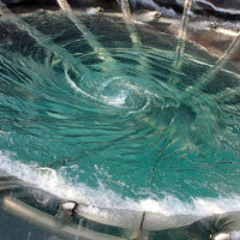 Vortex (2004)