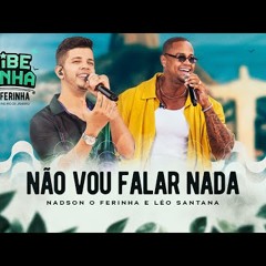 Nadson O Ferinha, Léo Santana - Não Vou Falar Nada (Clipe Oficial)