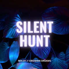 Melodic Techno Mix // Obsidian Dreams // 28May25