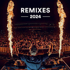 Remixes & Mashups 2024  DJ Music