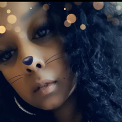 Cat&Mouse Trap House