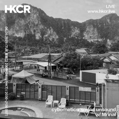 cybernetics sound unsound w/ Mrinal - 06/05/2025