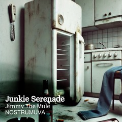 Junkie Serenade