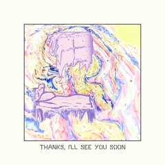 Thanks, I'll See You Soon