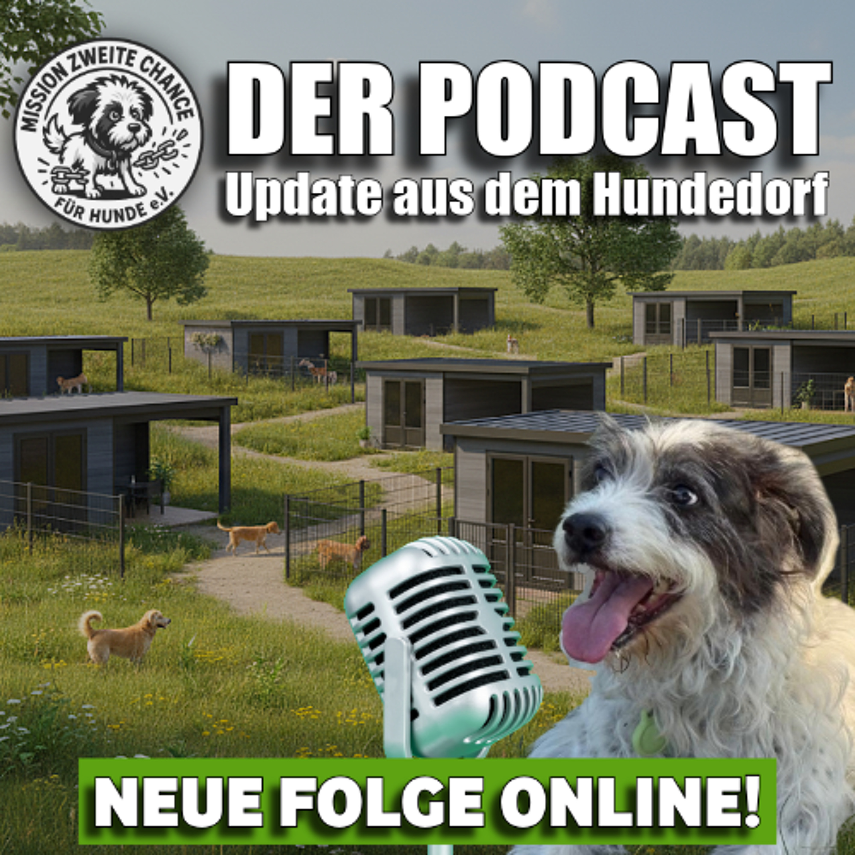 #415 PLÖTZLICH GING ER NACH VORNE!