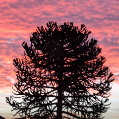 something with roads