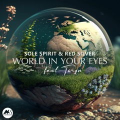 Sole Spirit, Red Silver - World in Your Eyes (feat. Toryn)(Original Mix)