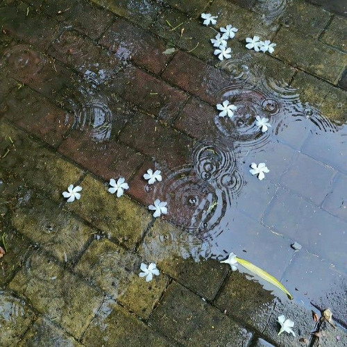 ฟ้าร้อง Remix JuayGaa