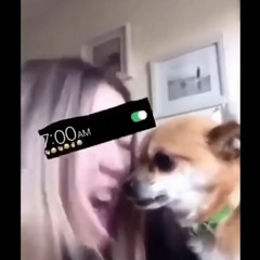 D.O.C cypher(w/dongha,xOvaDyax)