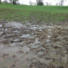 mudder 2 prod longboystyle & w4ddles