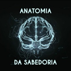Anatomia Da Sabedoria Fernando Leite - Aula 04