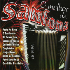 Quadrilha brasileira (Instrumental)
