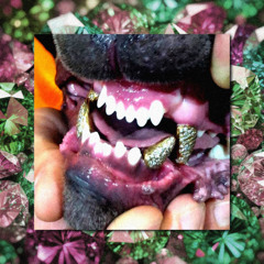 My Dogz Wear Diamonds | $uicideboy$ Type Beat