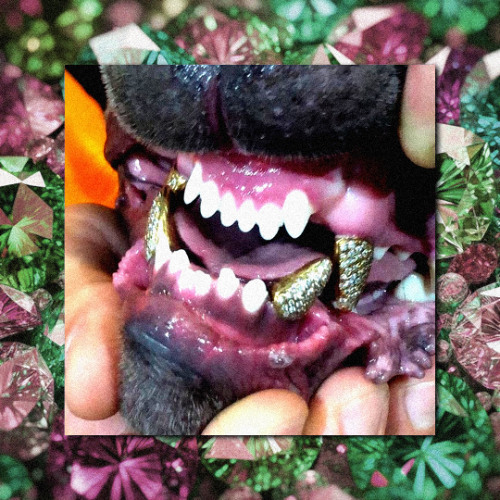 My Dogz Wear Diamonds | $uicideboy$ Type Beat