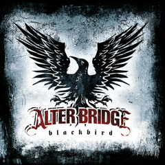 Before Tomorrow Comes (Album Version)