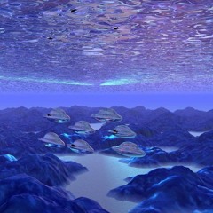 The Reef