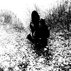 FLESHOFFER-SOUNDS OF DECOMPOSING EP