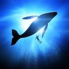 Whales (DJC)