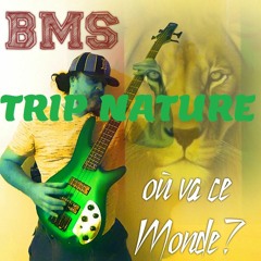 TRIP NATURE (BMS MUSIC)