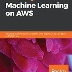 DOWNLOAD EPUB 📒 Mastering Machine Learning on AWS: Advanced machine learning in Pyth