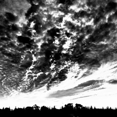 In the morning