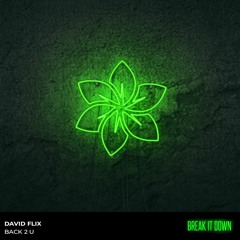 David Flix - Back 2 U