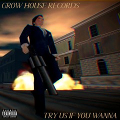 GROW HOUSE RECORDS - TRY US IF U WANNA