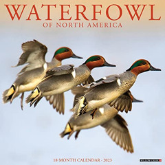 VIEW EPUB 📑 Waterfowl 2023 Wall Calendar by  Willow Creek Press EPUB KINDLE PDF EBOO